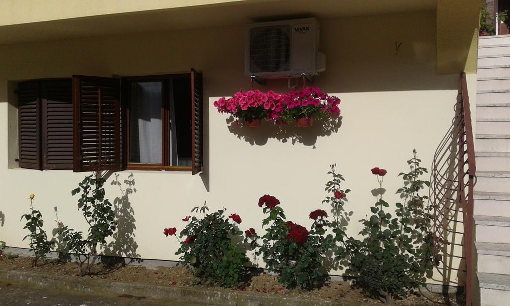 Apartment Adela كوتور المظهر الخارجي الصورة